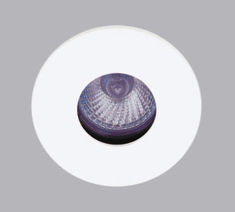 Mynd af Loftljós IF Rov-1610 50W GU10