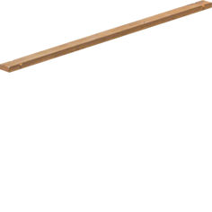 Mynd af Straumskinna 250A 12x5x745mm