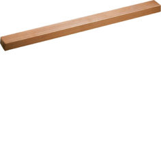 Mynd af Straumskinna 500A 20x10x246mm