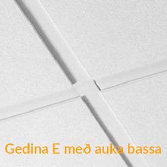Mynd af Kerfisloft Ecophon Gedina