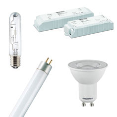 Sýna vörur í flokki: LED perur