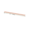 Mynd af Safnskinna Compact 2P 10mm² 36 pinnar