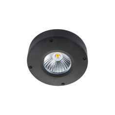 Mynd af CALLISTO Ceiling loftljós áfellt Svartur 2700K