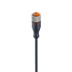 Mynd af PVC snúra 4póla DC  2m M12
